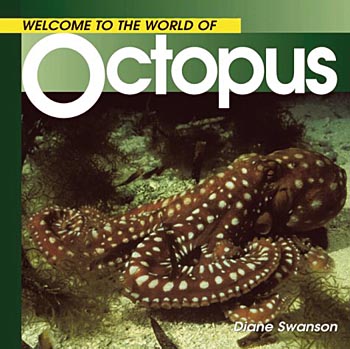 Octopuses book cover shot