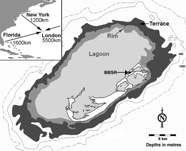 Bermuda Reef Zones