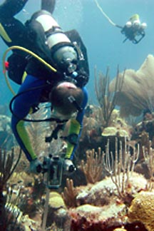 scientist filming along a coral reef transect