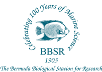 Bermuda Biological Station