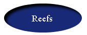Lagoon and Terrace Reefs