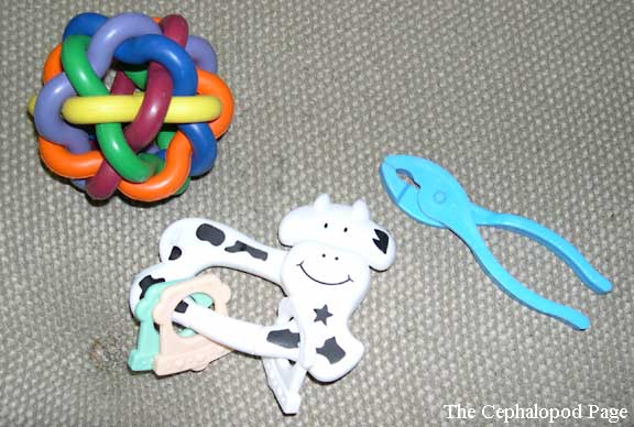 Octopus Toys - Enrichment